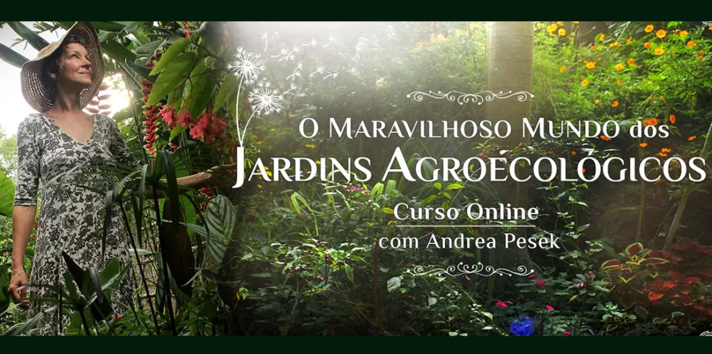 o maravilhoso mundo dos jardins agroecologicos